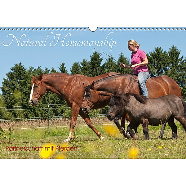 Natural Horsemanship - Partnerschaft mit Pferden (Wandkalender 2019 DIN A3 quer), Meike Bölts