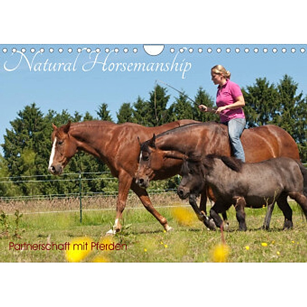 Natural Horsemanship - Partnerschaft mit Pferden (Wandkalender 2022 DIN A4 quer), Meike Bölts