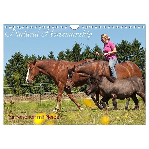 Natural Horsemanship - Partnerschaft mit Pferden (Wandkalender 2024 DIN A4 quer), CALVENDO Monatskalender, Meike Bölts