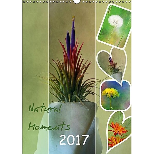 Natural Moments (Wandkalender 2017 DIN A3 hoch), PaulaPanther