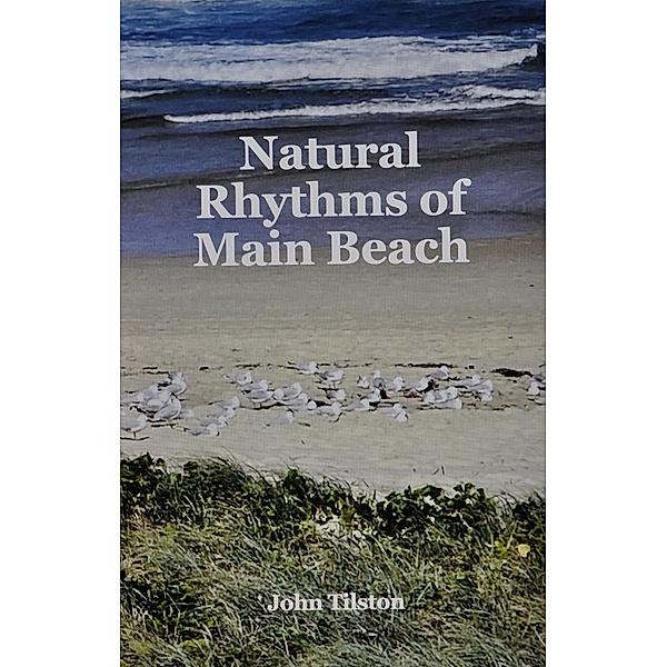 Natural Rhythms of Main Beach, John Tilston