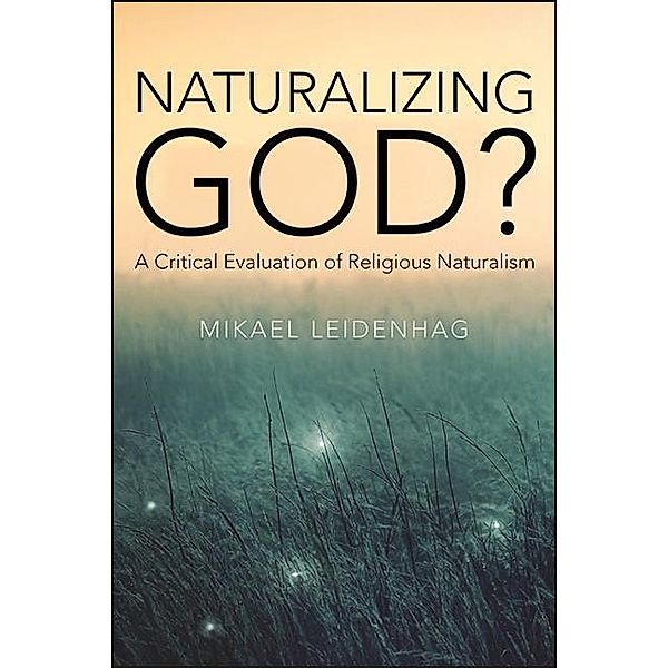 Naturalizing God?, Mikael Leidenhag