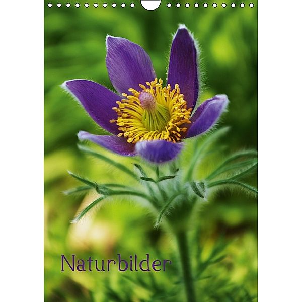 Naturbilder (Wandkalender 2018 DIN A4 hoch), by Tanja Riedel