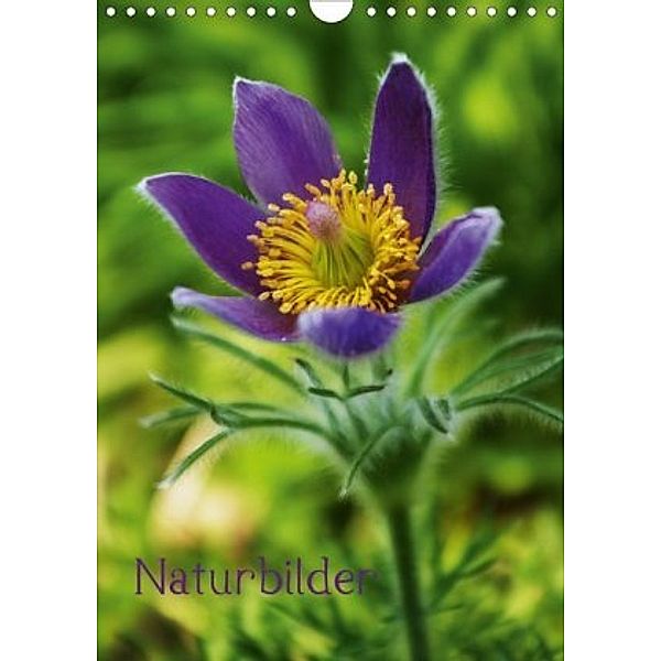 Naturbilder (Wandkalender 2020 DIN A4 hoch), by Tanja Riedel