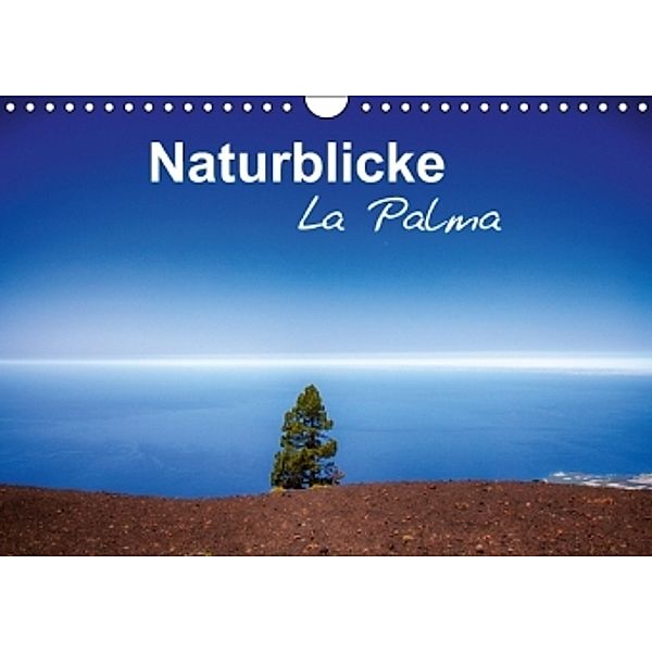 Naturblicke - La Palma (Wandkalender 2016 DIN A4 quer), Fabian Roessler