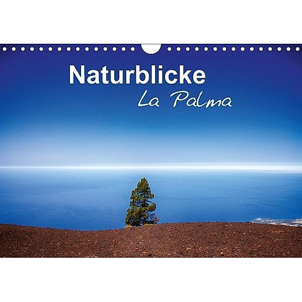 Naturblicke - La Palma (Wandkalender 2017 DIN A4 quer), Fabian Roessler