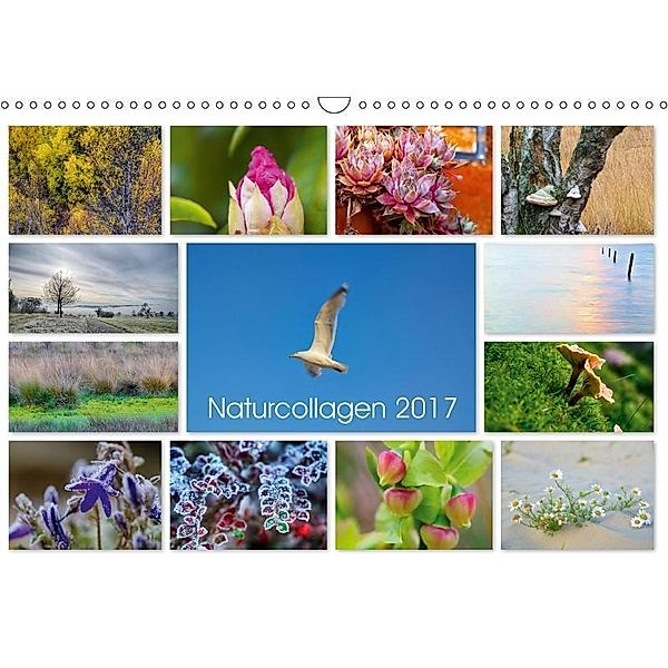 Naturcollagen 2017 (Wandkalender 2017 DIN A3 quer), Christine Nöh
