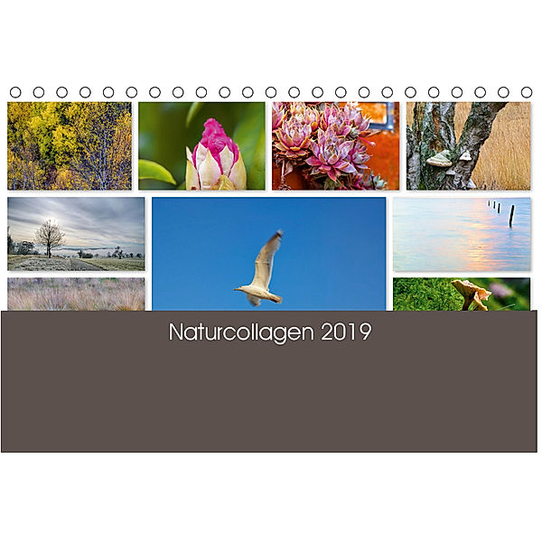 Naturcollagen 2019 (Tischkalender 2019 DIN A5 quer), Christine Nöh