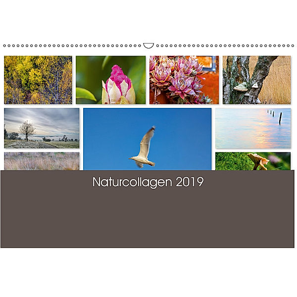 Naturcollagen 2019 (Wandkalender 2019 DIN A2 quer), Christine Nöh