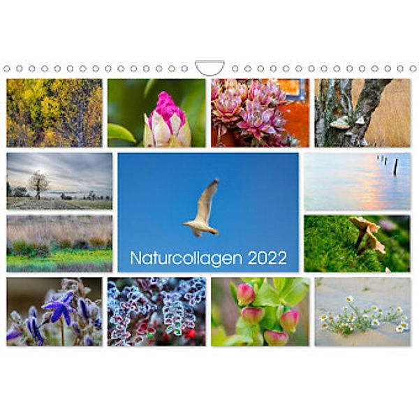 Naturcollagen 2022 (Wandkalender 2022 DIN A4 quer), Christine Nöh