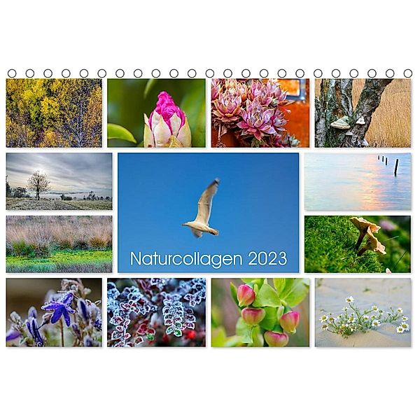 Naturcollagen 2023 (Tischkalender 2023 DIN A5 quer), Christine Nöh