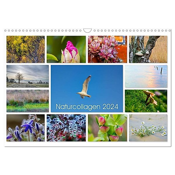 Naturcollagen 2024 (Wandkalender 2024 DIN A3 quer), CALVENDO Monatskalender, Christine Nöh