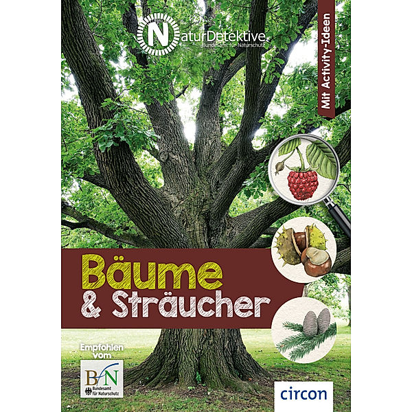 Naturdetektive / Bäume & Sträucher, Birgit Kuhn