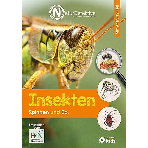 NaturDetektive / Insekten, Spinnen und Co., Feryal Kanbay