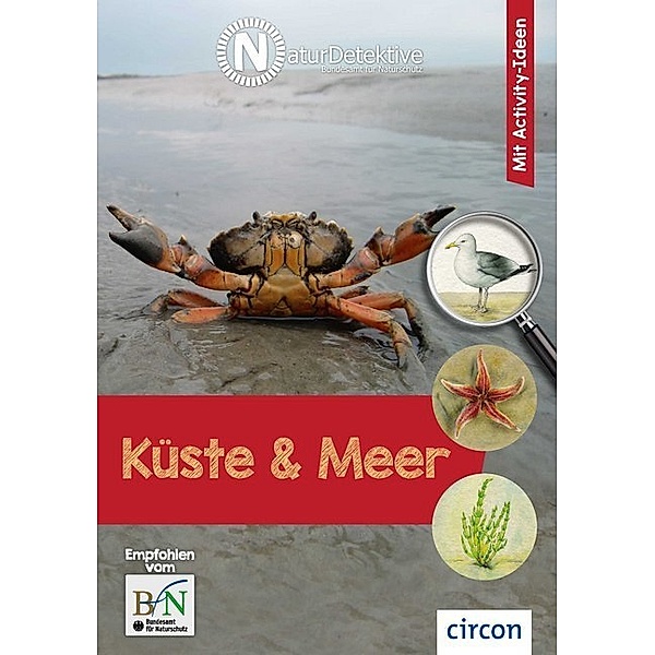 Naturdetektive / Küste & Meer, Birgit Kuhn
