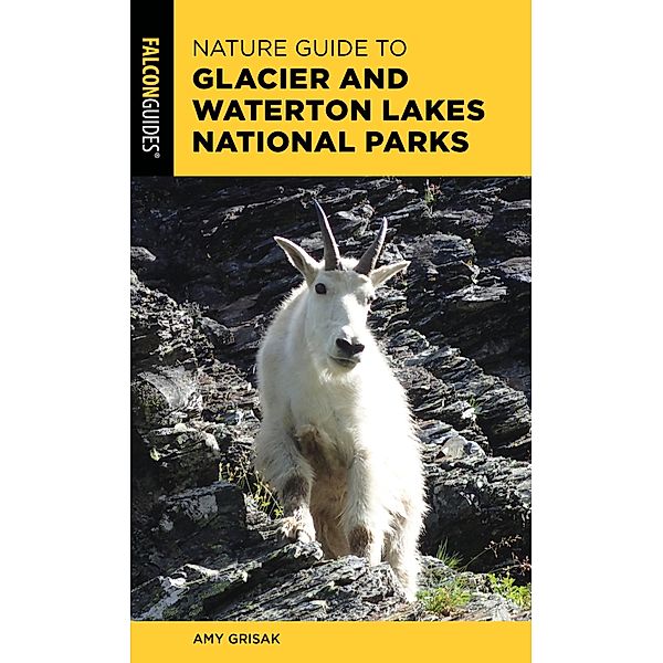 Nature Guide to Glacier and Waterton Lakes National Parks / Nature Guides to National Parks Series, Amy Grisak