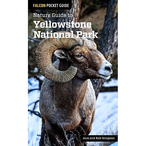 Nature Guide to Yellowstone National Park / Nature Guides to National Parks Series, Ann Simpson, Rob Simpson