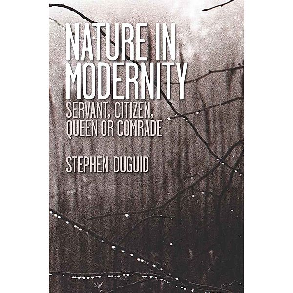 Nature in Modernity, Stephen Duguid