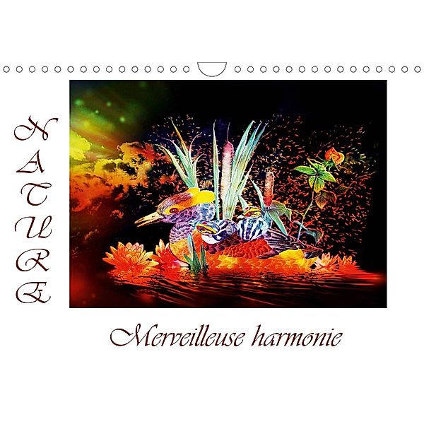 Nature Merveilleuse harmonie (Calendrier mural 2021 DIN A4 horizontal), Dusanka Djeric