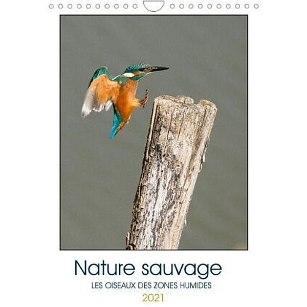 Nature sauvage - Les oiseaux des zones humides (Calendrier mural 2021 DIN A4 vertical), Djamal Makhloufi