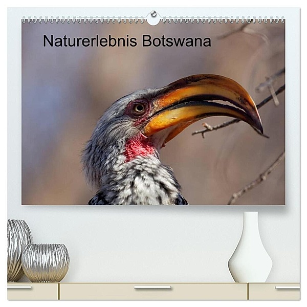 Naturerlebnis Botswana (hochwertiger Premium Wandkalender 2024 DIN A2 quer), Kunstdruck in Hochglanz, Willy Bruechle
