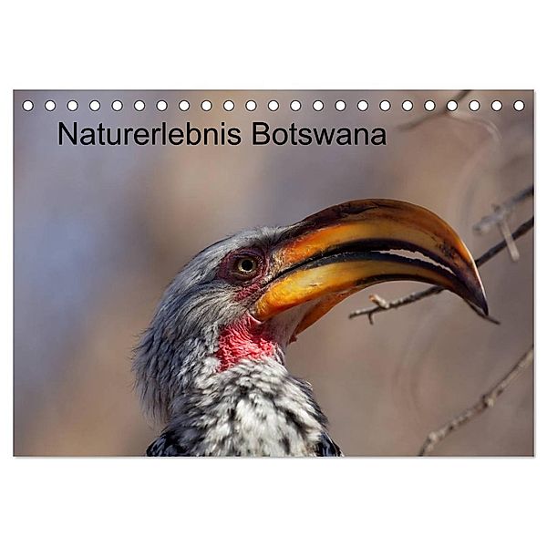 Naturerlebnis Botswana (Tischkalender 2024 DIN A5 quer), CALVENDO Monatskalender, Willy Bruechle