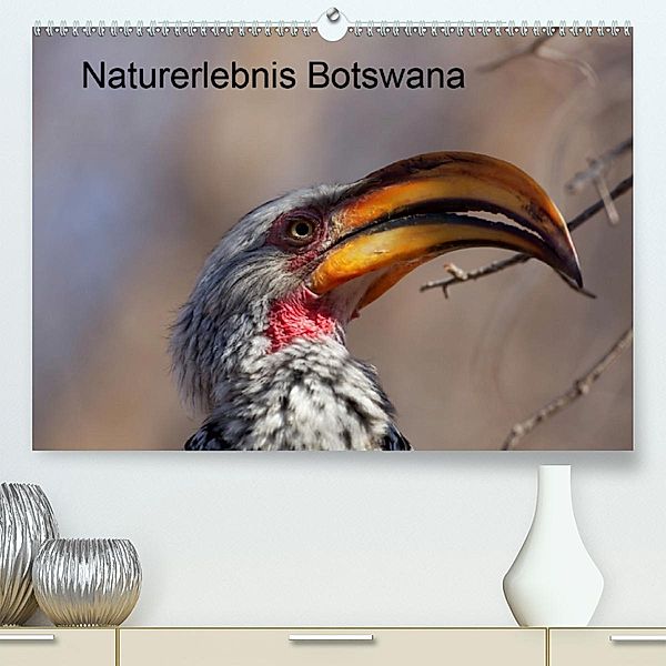 Naturerlebnis Botswana(Premium, hochwertiger DIN A2 Wandkalender 2020, Kunstdruck in Hochglanz), Willy Bruechle