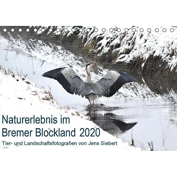 Naturerlebnis im Bremer Blockland (Tischkalender 2020 DIN A5 quer), Jens Siebert
