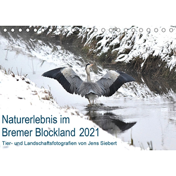 Naturerlebnis im Bremer Blockland (Tischkalender 2021 DIN A5 quer), Jens Siebert