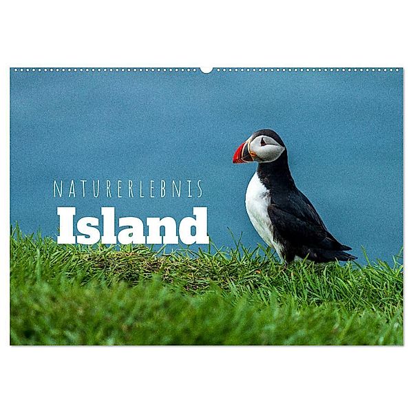 Naturerlebnis Island (Wandkalender 2024 DIN A2 quer), CALVENDO Monatskalender, Thomas Holtgräwe