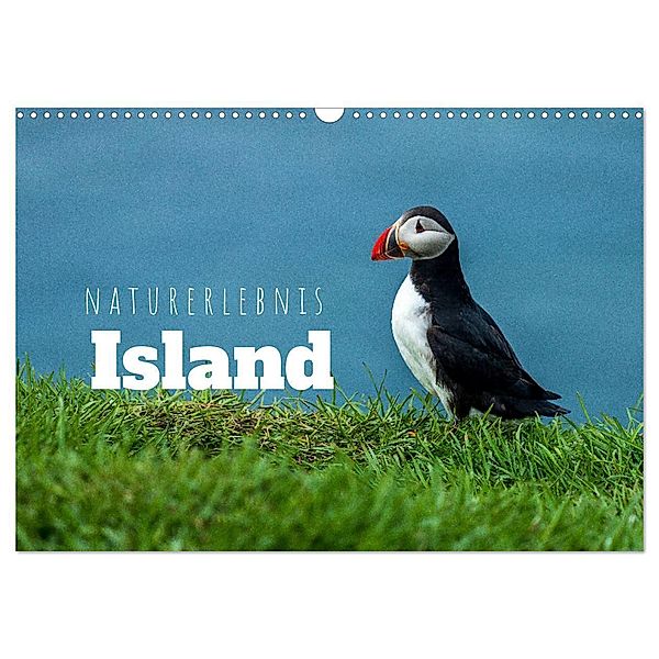 Naturerlebnis Island (Wandkalender 2024 DIN A3 quer), CALVENDO Monatskalender, Thomas Holtgräwe
