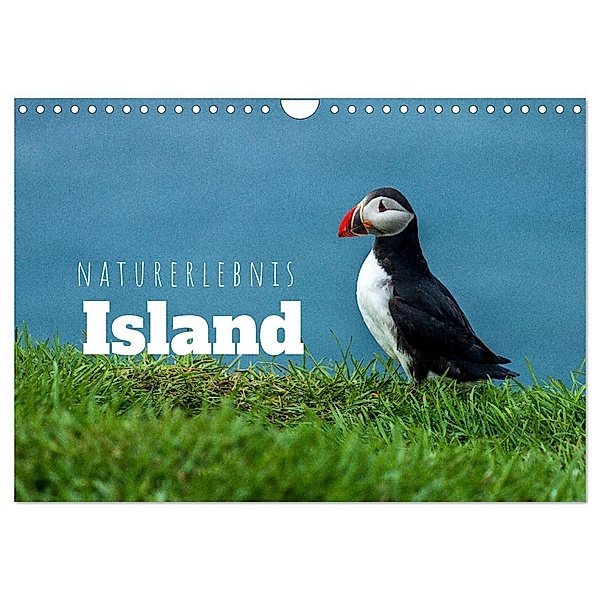 Naturerlebnis Island (Wandkalender 2025 DIN A4 quer), CALVENDO Monatskalender, Calvendo, Thomas Holtgräwe