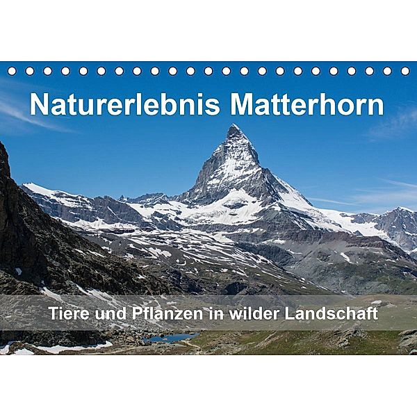 Naturerlebnis Matterhorn (Tischkalender 2021 DIN A5 quer), Claudia Pelzer
