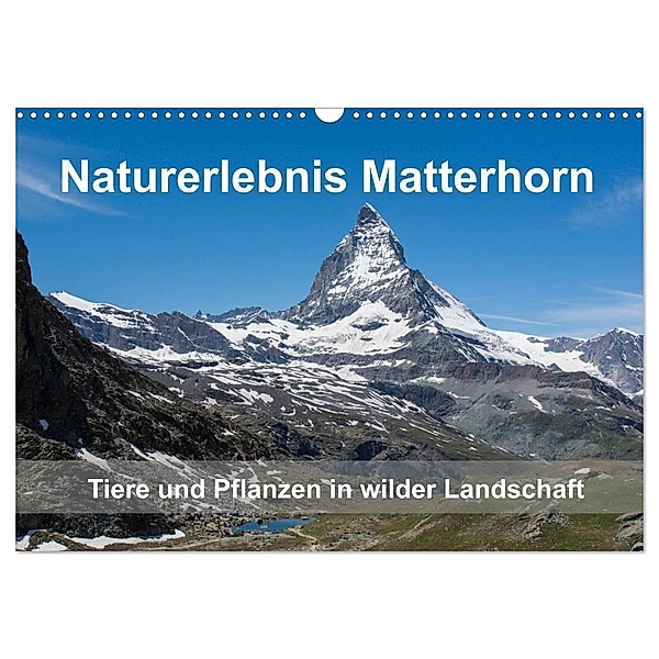 Naturerlebnis Matterhorn (Wandkalender 2024 DIN A3 quer), CALVENDO Monatskalender, Claudia Pelzer (Pelzer-Photography)