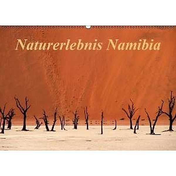 Naturerlebnis Namibia (Wandkalender 2015 DIN A2 quer), Hans-Wolfgang Hawerkamp
