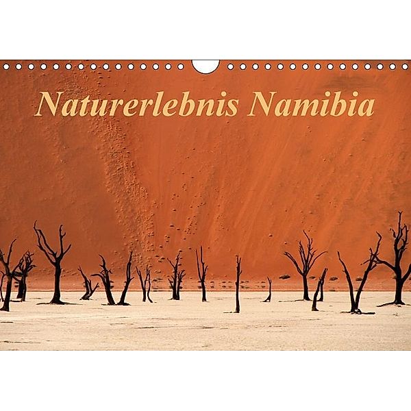 Naturerlebnis Namibia (Wandkalender 2017 DIN A4 quer), Hans-Wolfgang Hawerkamp