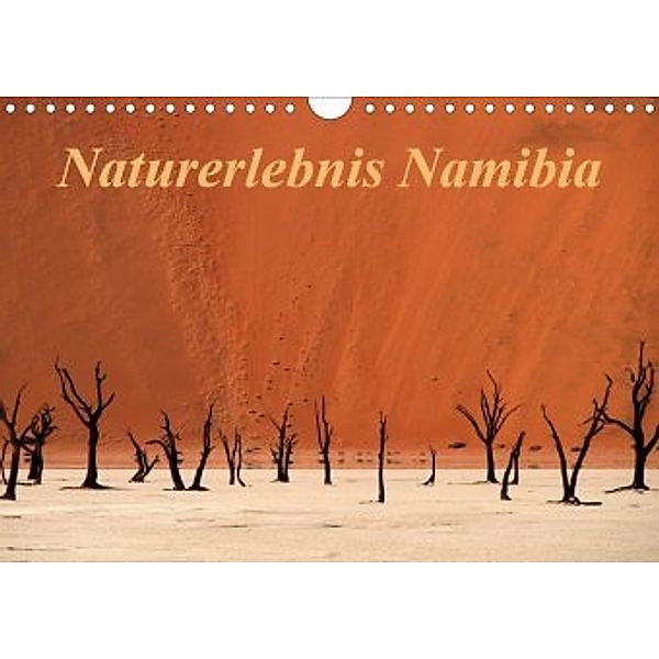 Naturerlebnis Namibia (Wandkalender 2020 DIN A4 quer), Hans-Wolfgang Hawerkamp