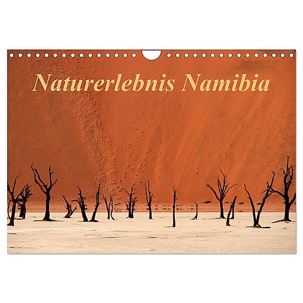 Naturerlebnis Namibia (Wandkalender 2024 DIN A4 quer), CALVENDO Monatskalender, Hans-Wolfgang Hawerkamp