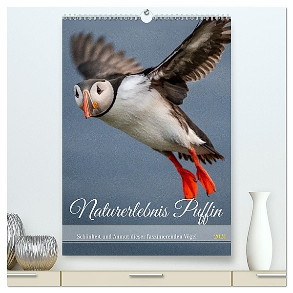 Naturerlebnis Puffin (hochwertiger Premium Wandkalender 2024 DIN A2 hoch), Kunstdruck in Hochglanz, Calvendo, Dieter Gödecke