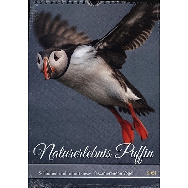 Naturerlebnis Puffin (Wandkalender 2024 DIN A4 hoch), CALVENDO Monatskalender, Calvendo, Dieter Gödecke