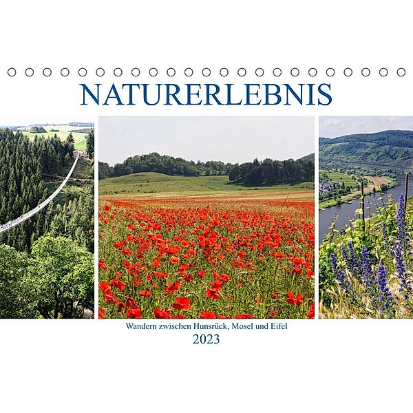 Naturerlebnis - Wandern zwischen Hunsrück, Mosel und Eifel (Tischkalender 2023 DIN A5 quer), Anja Frost