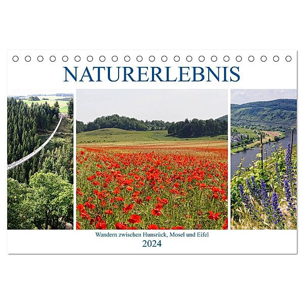 Naturerlebnis - Wandern zwischen Hunsrück, Mosel und Eifel (Tischkalender 2024 DIN A5 quer), CALVENDO Monatskalender, Anja Frost