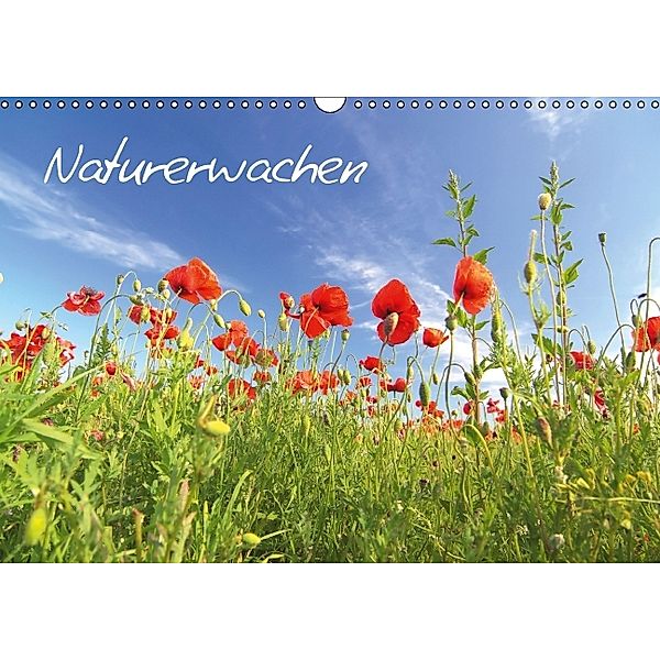 Naturerwachen (Wandkalender 2014 DIN A3 quer), Thomas Deter