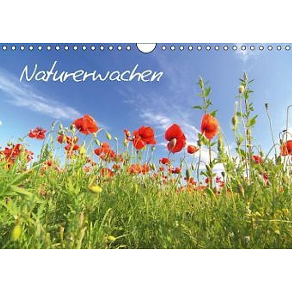 Naturerwachen (Wandkalender 2015 DIN A4 quer), Thomas Deter