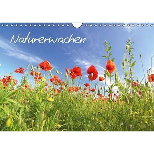 Naturerwachen (Wandkalender 2016 DIN A4 quer), Thomas Deter