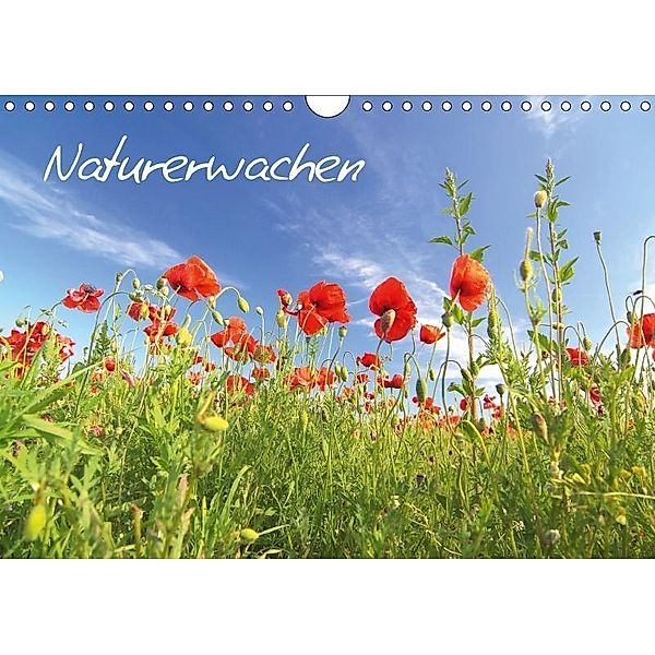 Naturerwachen (Wandkalender 2017 DIN A4 quer), Thomas Deter