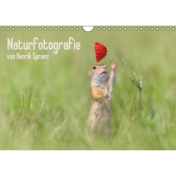 Naturfotografie (Wandkalender 2016 DIN A4 quer), Henrik Spranz