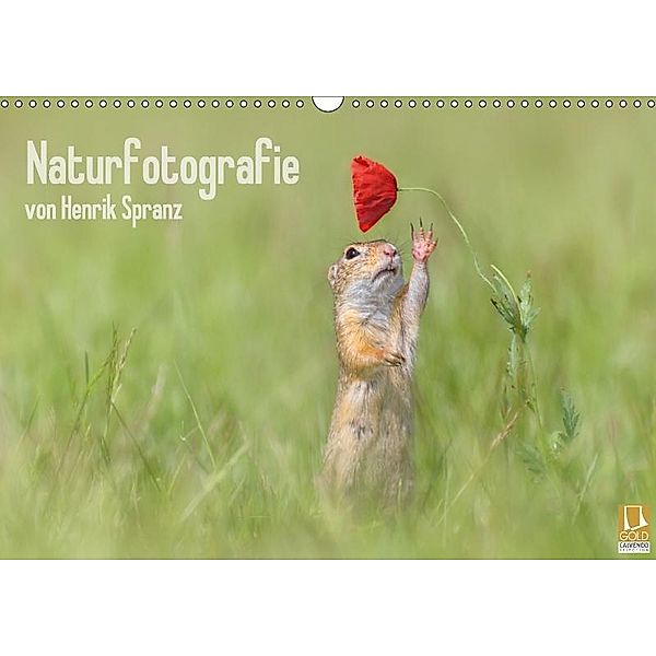 Naturfotografie (Wandkalender 2017 DIN A3 quer), Henrik Spranz