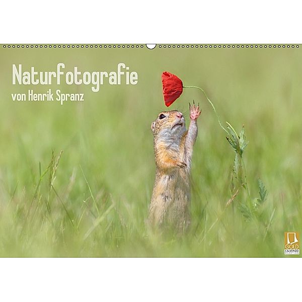 Naturfotografie (Wandkalender 2018 DIN A2 quer), Henrik Spranz