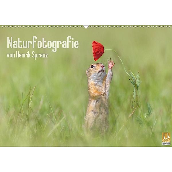 Naturfotografie (Wandkalender 2020 DIN A2 quer), Henrik Spranz